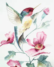 1flyinghummingbirdjpg.jpg
