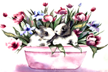 2bunniesinpot.jpg